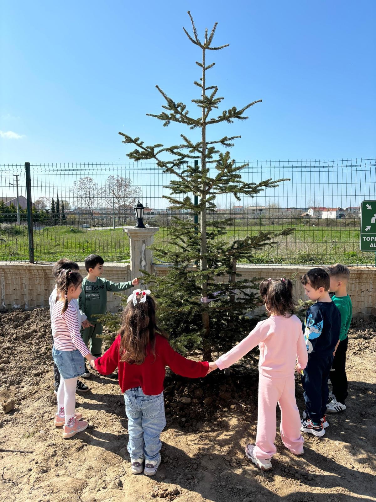 TOBB Anaokulu’nda Orman Haftası Kapsamında Fidan Dikimi