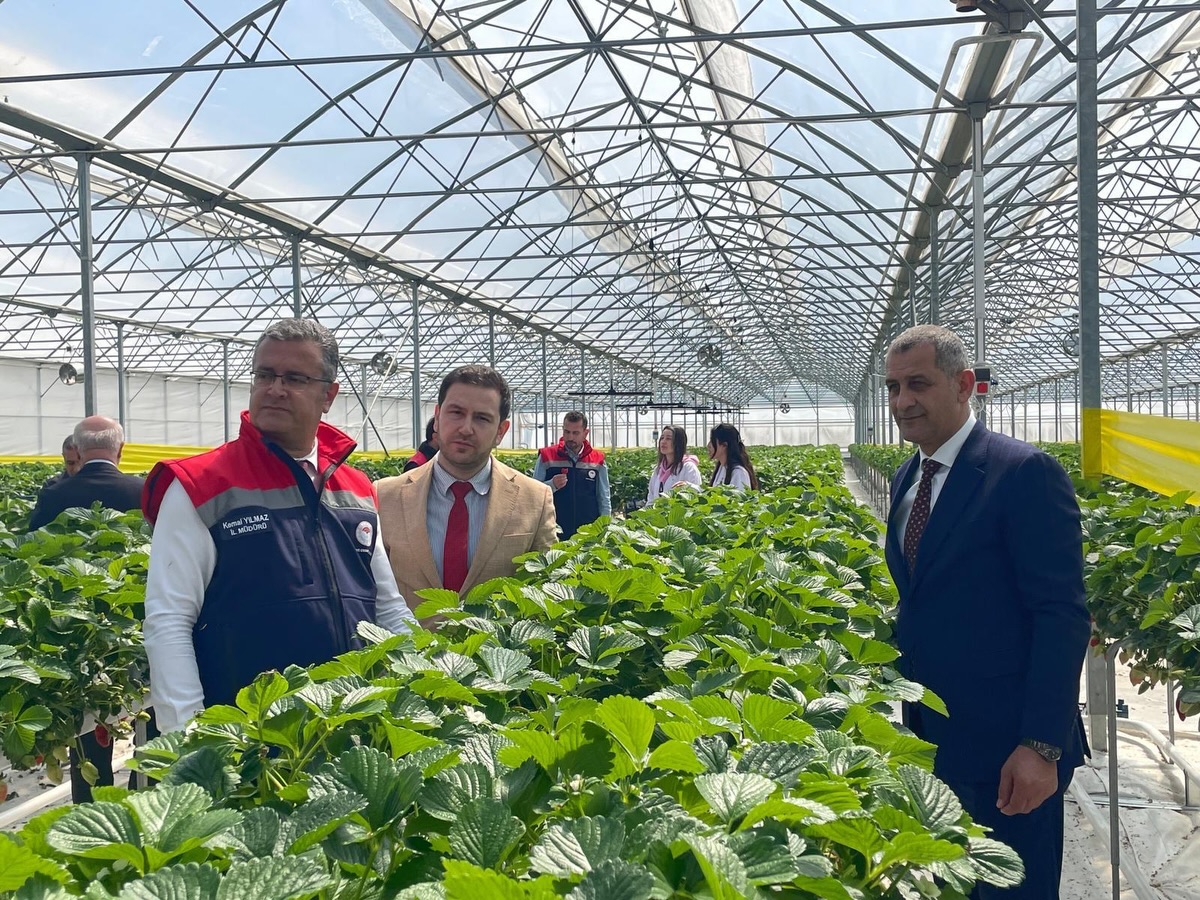 Sera Üretiminde Yerinde İnceleme